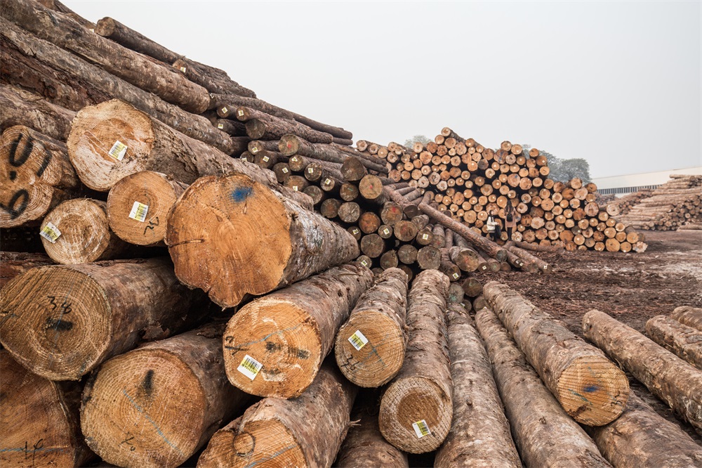 木材的危害 你知道多少？